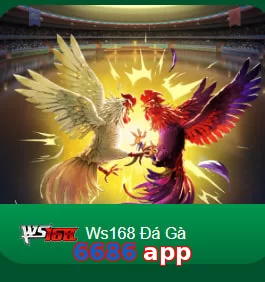 6686 app